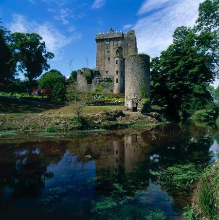 Lanesville B&B Blarney Dış mekan fotoğraf